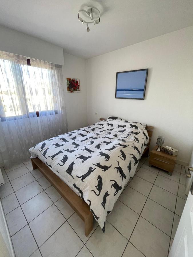 7Mn From The Center/ Pool/Parking Cannes Exterior foto